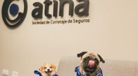 Atina revoluciona el corretaje de seguros en Venezuela combinando tecnología disruptiva y empatía humana